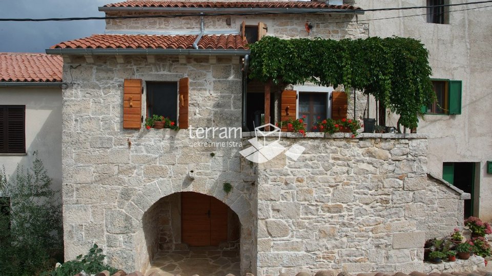 Istra, Žminj, Istarska renovirana kamena kuća 135m2, okućnica 497m2  #prodaja