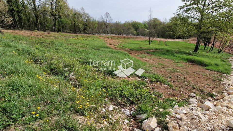 Istra, Barban, građevinska zemljišta 693m2 - 861m2   #prodaja