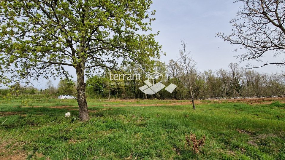 Istra, Barban, građevinsko zemljište 772m2   #prodaja