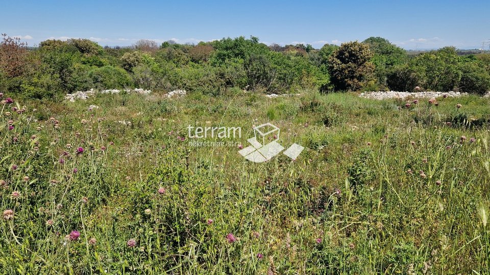 Istria, Pula, Vintijan, building plot 700m2, with building permit #sale