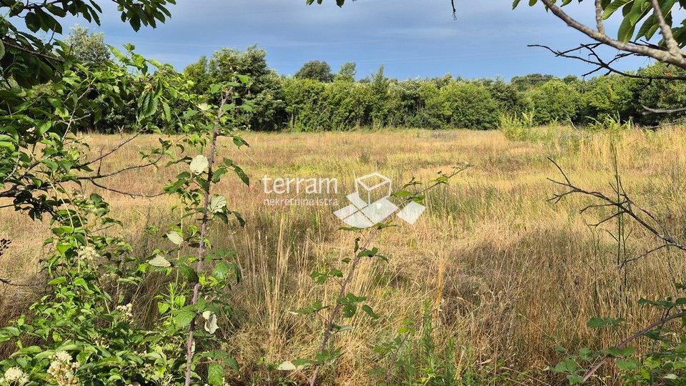 Istria, Vodnjan, building land 498m to 590m2, with a paid project for a house with a swimming pool #sale