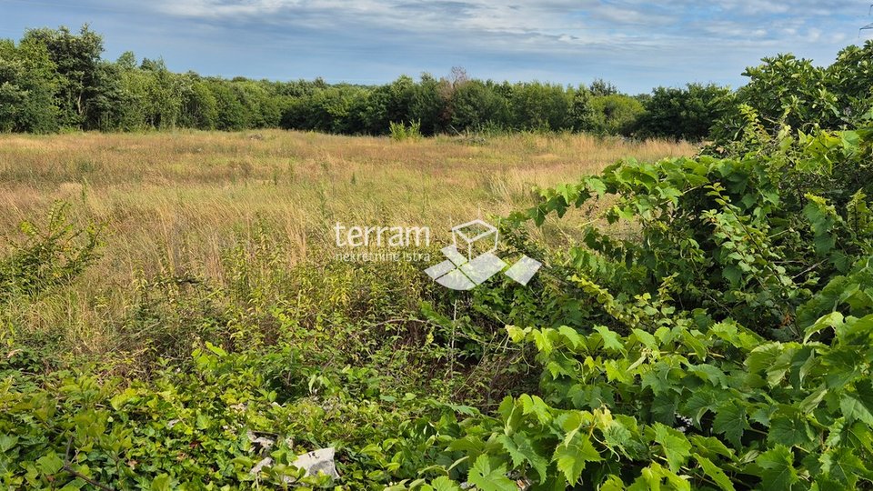 Istria, Vodnjan, building land 498m to 590m2, with a paid project for a house with a swimming pool #sale