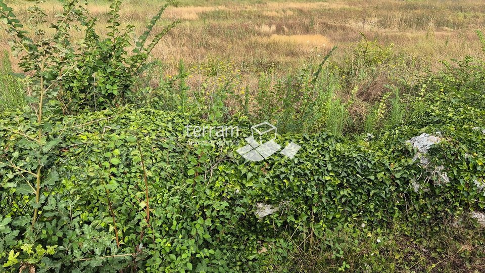 Istra, Vodnjan građeviska zemljišta 498m do 590m2, s plaćenim projektom za kuću s bazenom  #prodaja