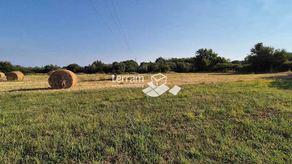 Istra, Kanfanar građevinsko zemljište 3292m2, panorarmski pogled na more   #prodaja