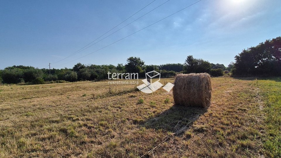 Istrien, Kanfanar, Baugrundstück 3292m2, Panoramablick auf das Meer #Verkauf