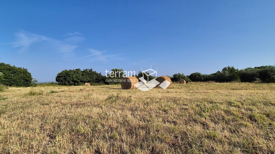 Istra, Kanfanar građevinsko zemljište 3292m2, panorarmski pogled na more   #prodaja