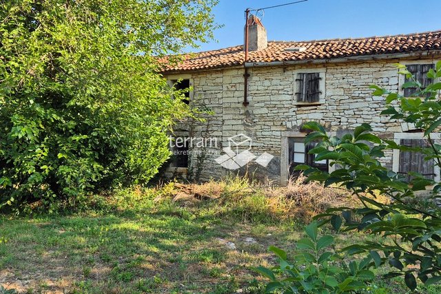 Istra, Rovinj, Rovinjsko Selo, kamena Istarska kuća 160m2, okućnica 916m2   #prodaja