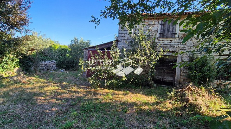 Istria, Rovinj, Rovinjsko Selo, stone Istrian house 160m2, garden 916m2 #sale