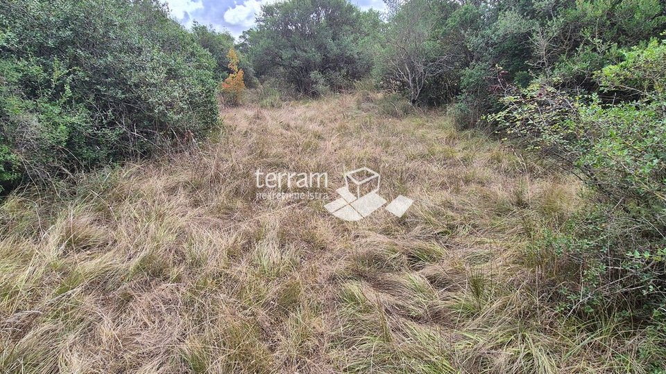 Istria, Pula, Medulinska street, agricultural land 6200 m2, #sale