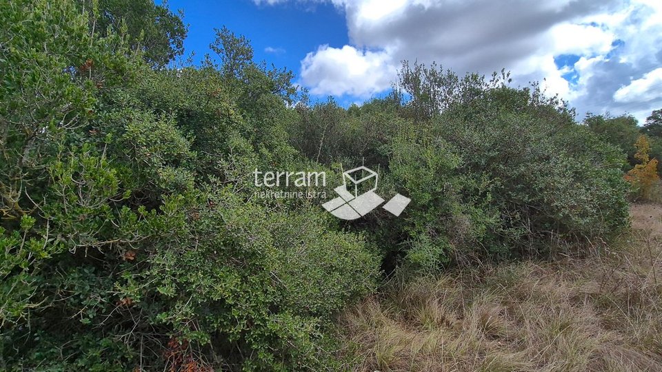 Istria, Pula, Medulinska street, agricultural land 6200 m2, #sale