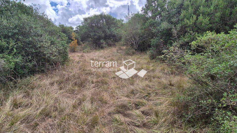 Istria, Pula, Medulinska street, agricultural land 6200 m2, #sale