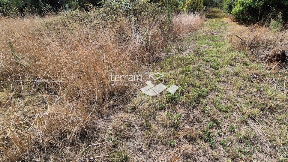 Istra, Vodnjan, Galižana, građevinsko zemljište  985m2 s pogledom na more   #prodaja