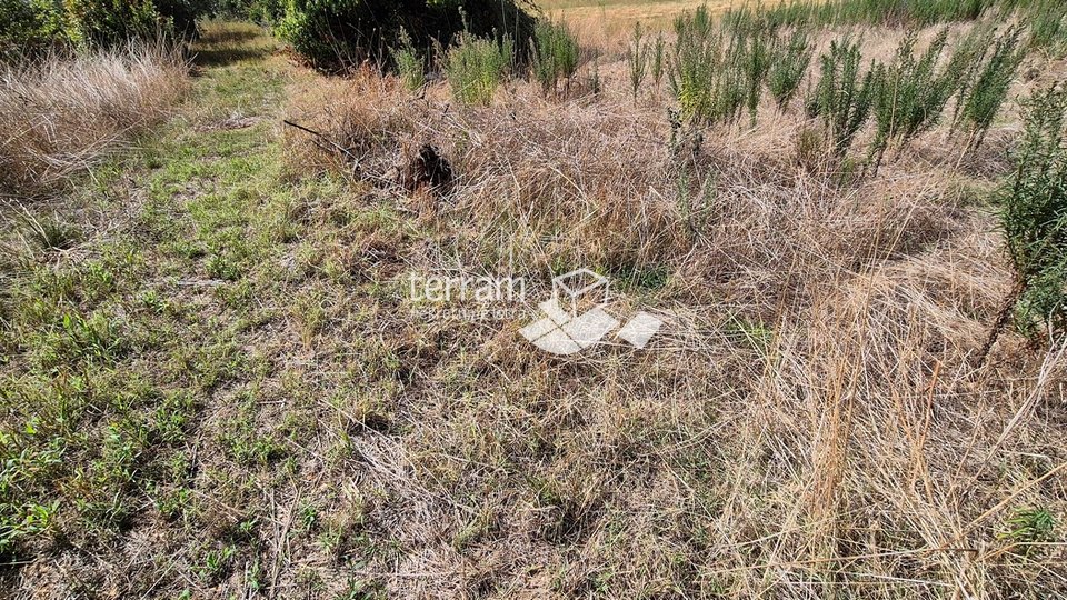 Istra, Vodnjan, Galižana, građevinsko zemljište  985m2 s pogledom na more   #prodaja