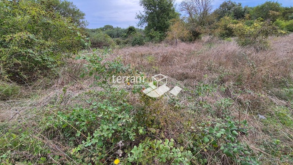 Istra, Medulin građevinsko i poljoprivredno zemljište 10957m2   #prodaja