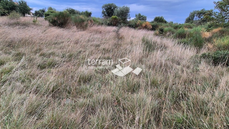 Istra, Medulin građevinsko i poljoprivredno zemljište 10957m2   #prodaja