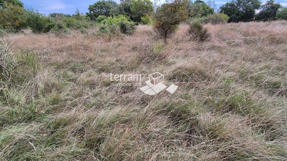 Istra, Medulin građevinsko i poljoprivredno zemljište 10957m2   #prodaja