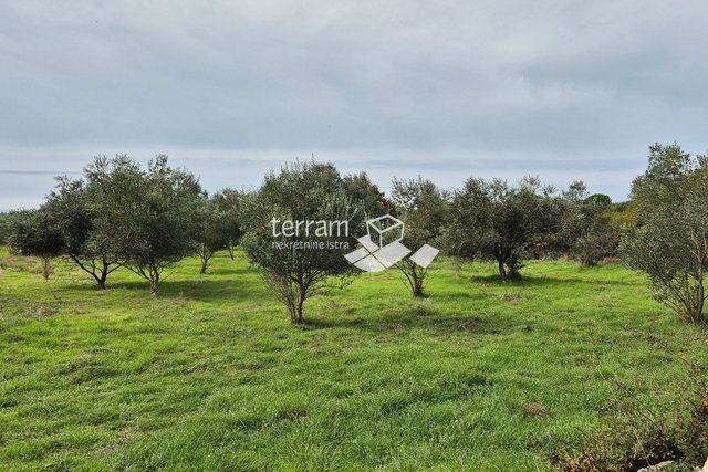 Istria, Vodnjan, Galižana, agricultural land 4546m2 # for sale