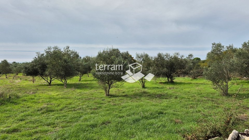 Istria, Vodnjan, Galižana, agricultural land 4546m2 # for sale