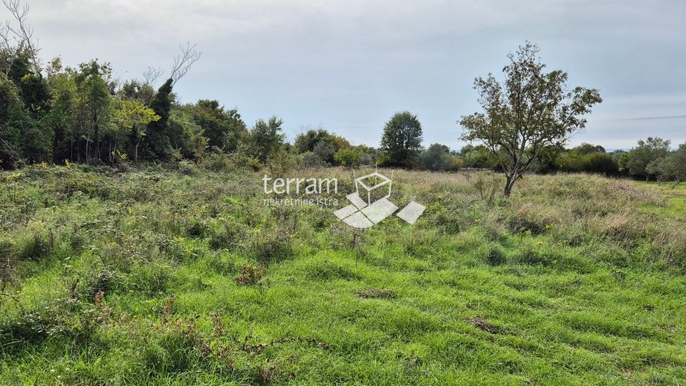 Istria, Vodnjan, Galižana, agricultural land 4546m2 # for sale