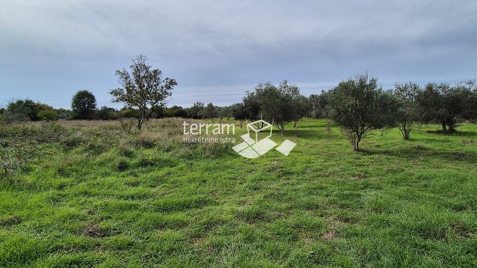 Istria, Vodnjan, Galižana, agricultural land 4546m2 # for sale