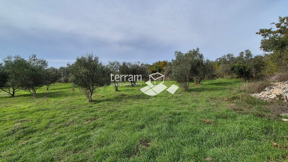 Istria, Vodnjan, Galižana, agricultural land 4546m2 # for sale