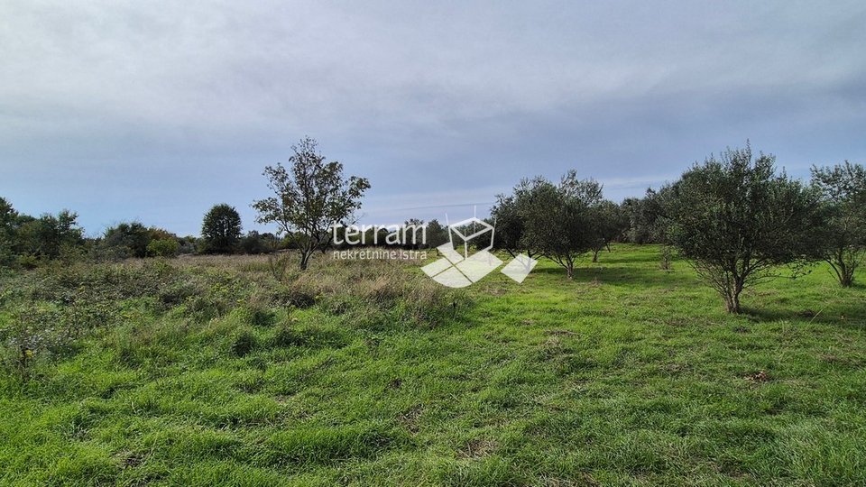 Istria, Vodnjan, Galižana, agricultural land 4546m2 # for sale