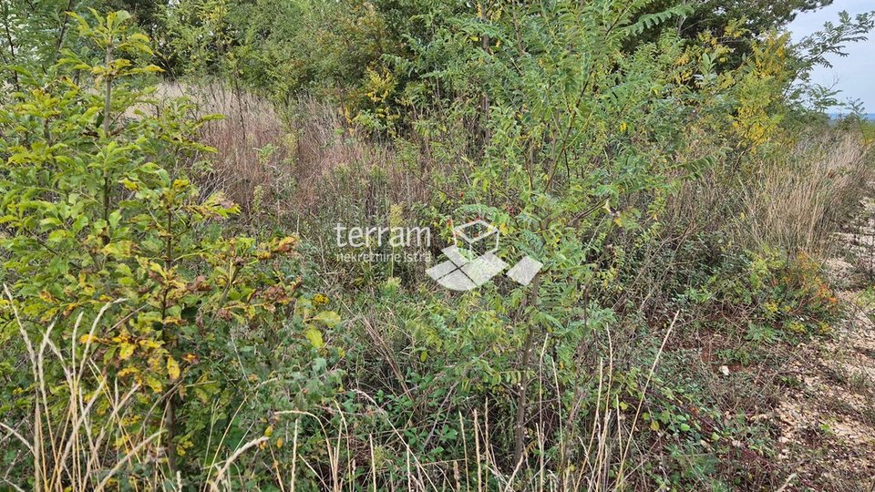 Istria, Žminj, several building plots of 533m2 #sale