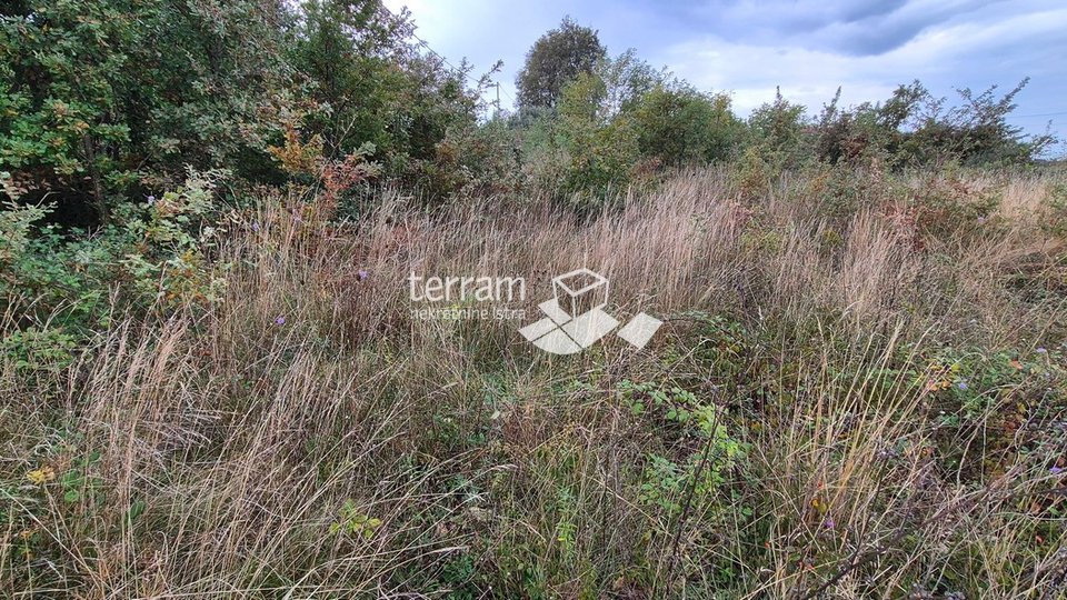 Istria, Žminj, several building plots of 533m2 #sale