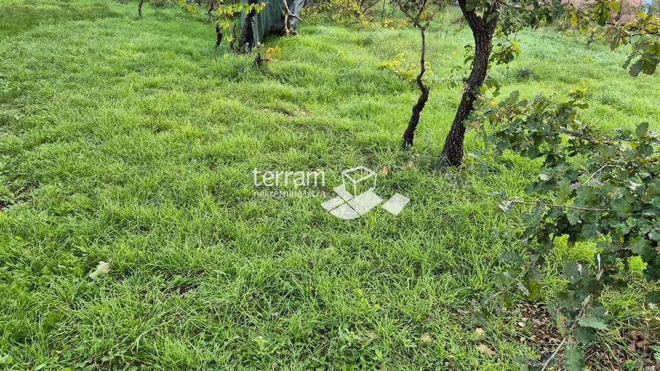 Istria, Pula, Veli Vrh, building plot 1000m2 # for sale