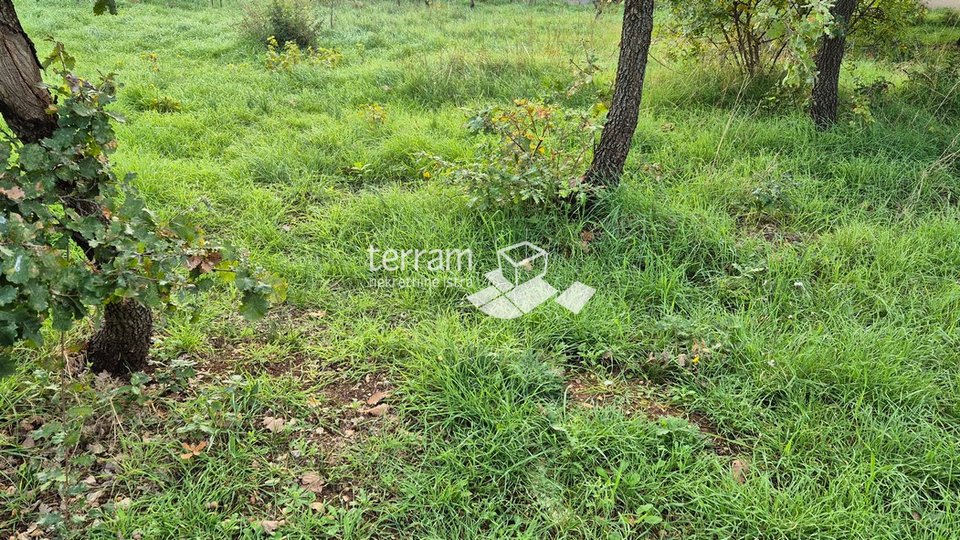 Istria, Pula, Veli Vrh, building plot 1000m2 # for sale