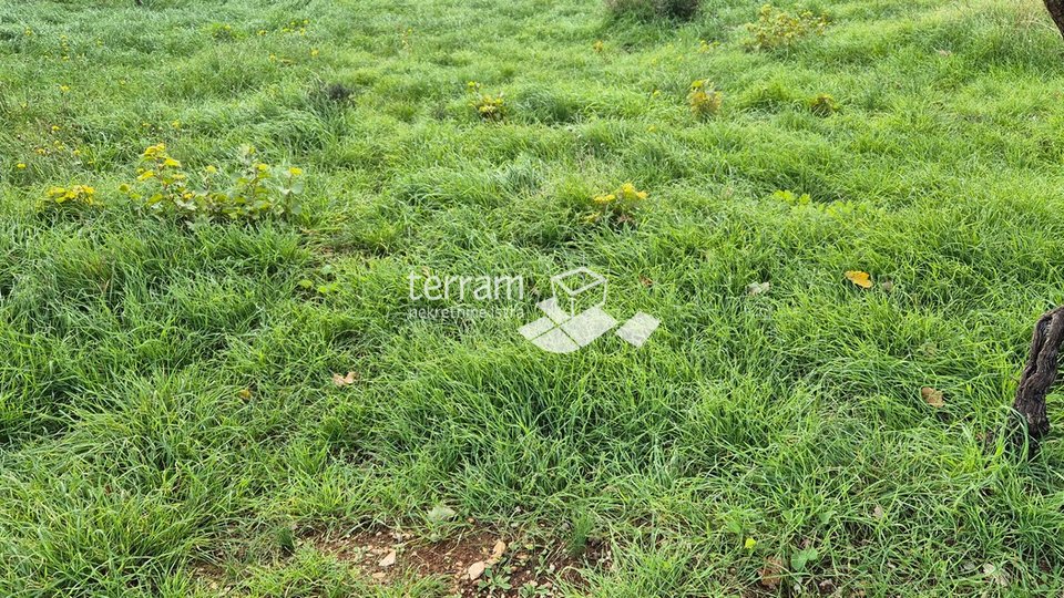 Istria, Pula, Veli Vrh, building plot 1000m2 # for sale