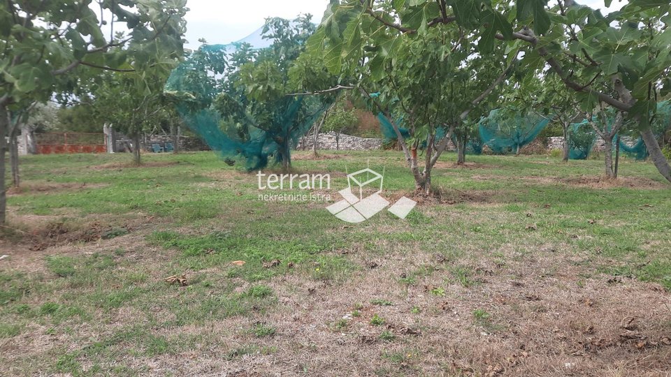 Istria, Krnica, Bratulići, building plot size 2259m2 #sale