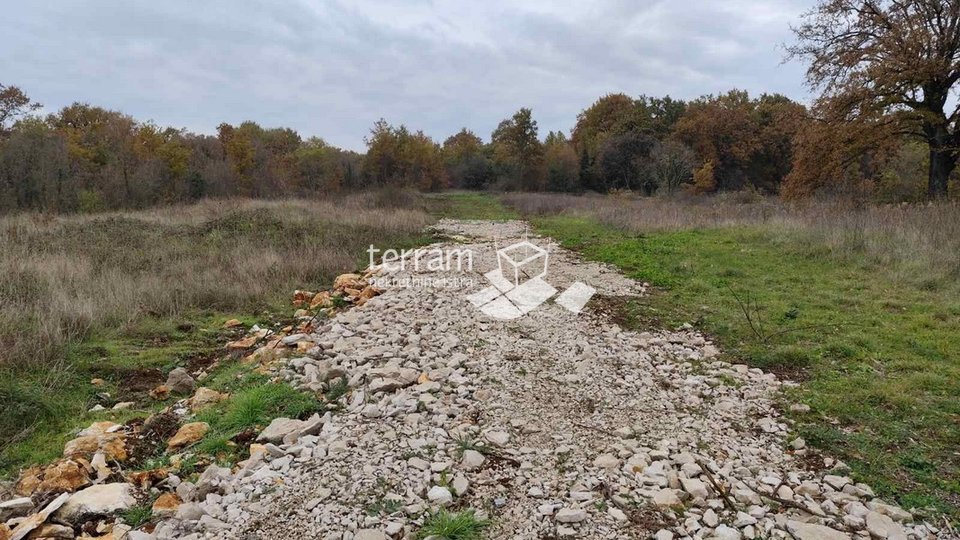 Istria, Svetvinćenat, Butkovići building land 632m2 # For sale