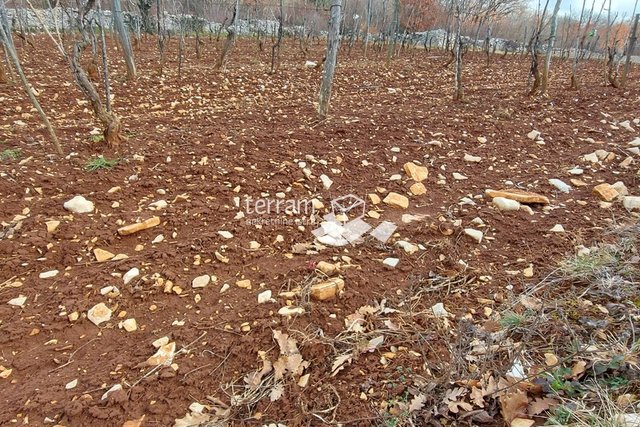 Istra, Svetvinčenat građevinsko zemljište 690m2