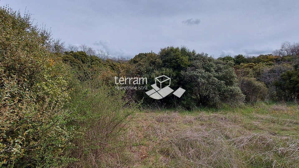 Istria, Bale agricultural land 11825m2,with a written building of 240m2 SEA VIEW