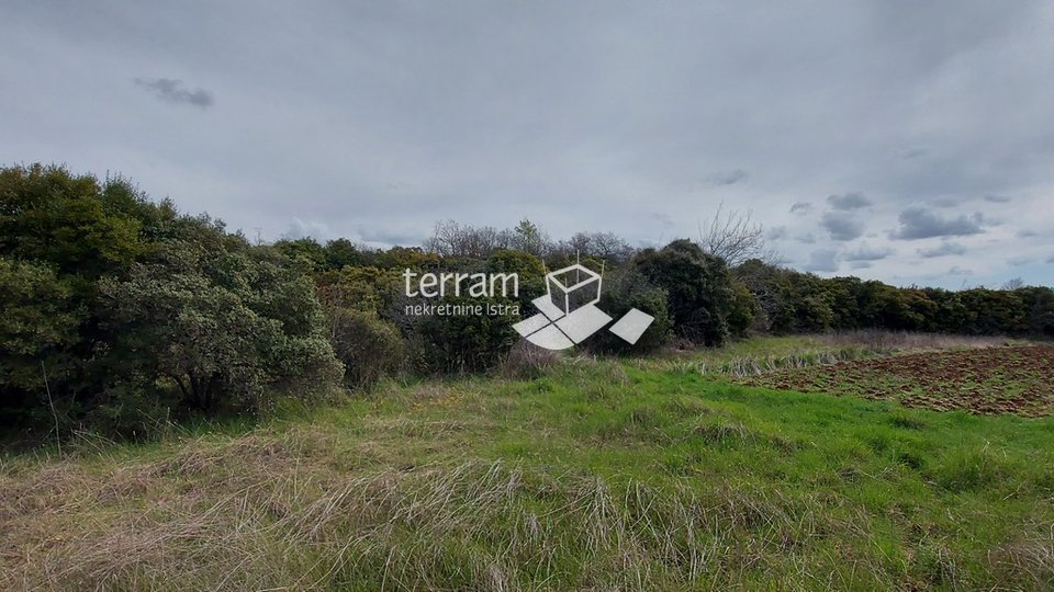 Istria, Bale agricultural land 11825m2,with a written building of 240m2 SEA VIEW