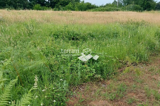 Istria, Barban building land 963m2 with a building permit for two houses