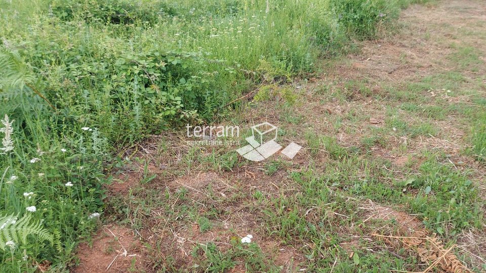 Istria, Barban building land 1812m2 with a building permit for two houses