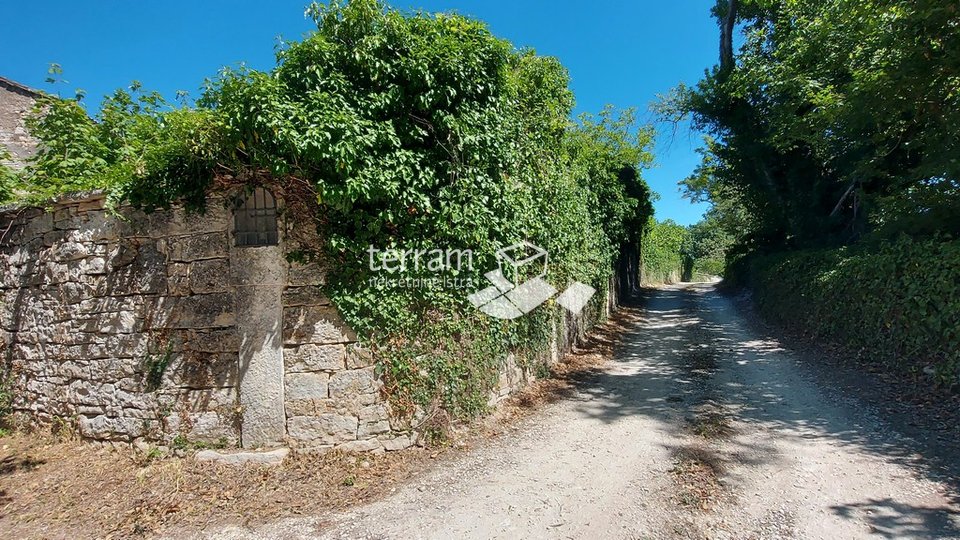 Istria, Tinjan 4 stone houses 330 m2 garden 550m2, building land 475m and agricultural land 4097m2