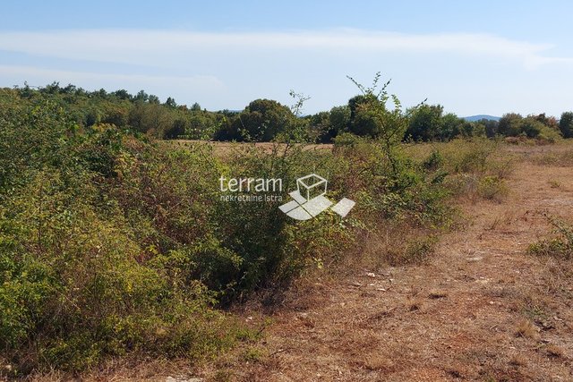 Istria, Kanfanar, building plot 4172m2 with a panoramic view of the sea