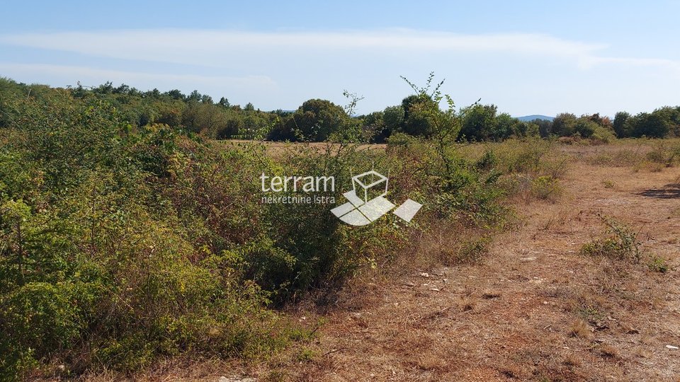 Istria, Kanfanar, building plot 4172m2 with a panoramic view of the sea
