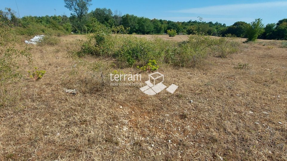 Istria, Kanfanar, building plot 4172m2 with a panoramic view of the sea