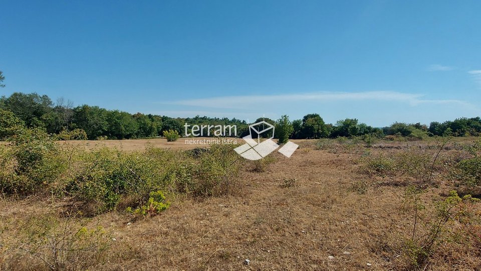 Istria, Kanfanar, building plot 4172m2 with a panoramic view of the sea