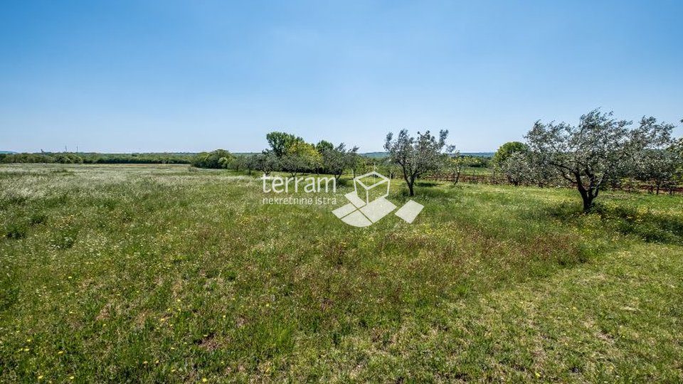 Istra, Marčana, građevinsko i poljoprivredno zemljište 2000m2, kompletna infrastruktura.