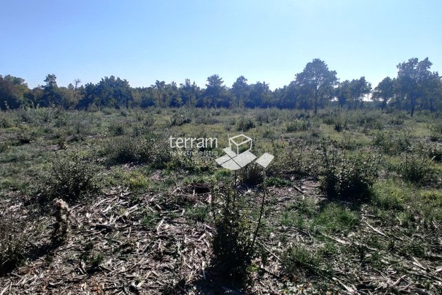 Istria, Bale, agricultural land 22821m2, TOP LOCATION, sale
