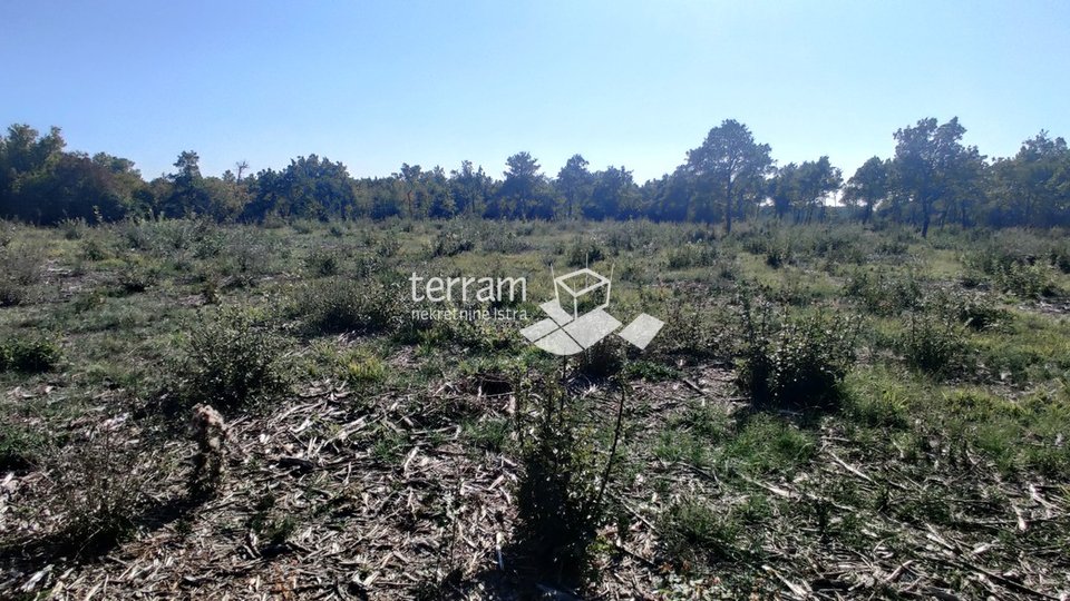Istria, Bale, agricultural land 22821m2, TOP LOCATION, sale