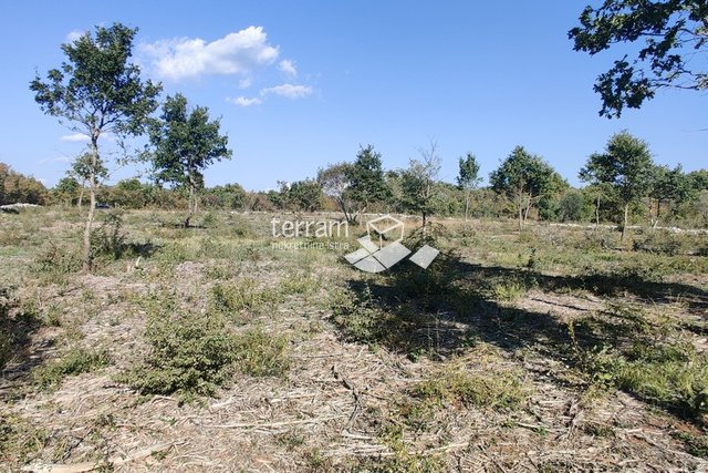 Istra, Bale, poljoprivreno zemjište 12400m2, TOP LOKACIJA, prodaja