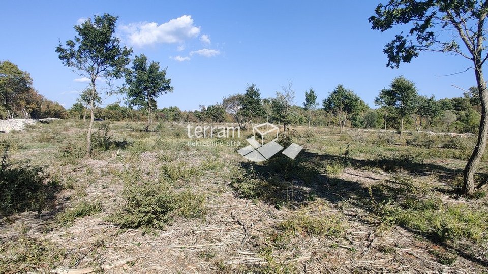 Istria, Bale, agricultural land 12400m2, TOP LOCATION, sale