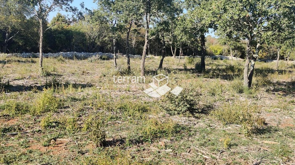 Istria, Bale, agricultural land 12400m2, TOP LOCATION, sale