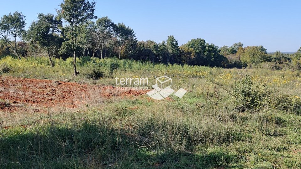 Istria, Bale, agricultural land 9865m2, TOP LOCATION, sale
